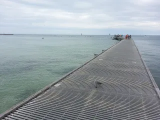 Higgs Beach in Key West, FL beach photo
