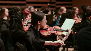 Event image for Usf Symphony Orchestra in Tampa, FL