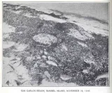 San Carlos Beach preview 1