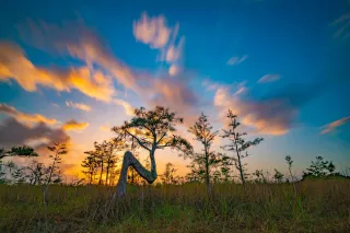 Everglades National Park in Homestead, FL park photo