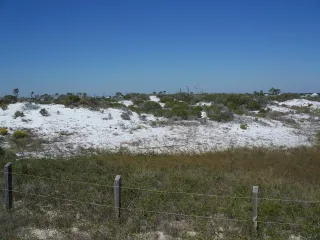 Perdido Key State Park in Gulf Beach Heights, FL park photo