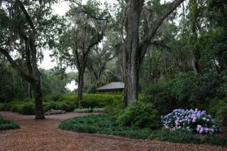 Bok Tower Gardens in Lake Wales, FL park photo