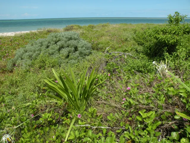 Key West National Wildlife Refuge