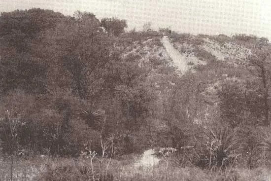 Mound Key Archaeological Preserve State Park