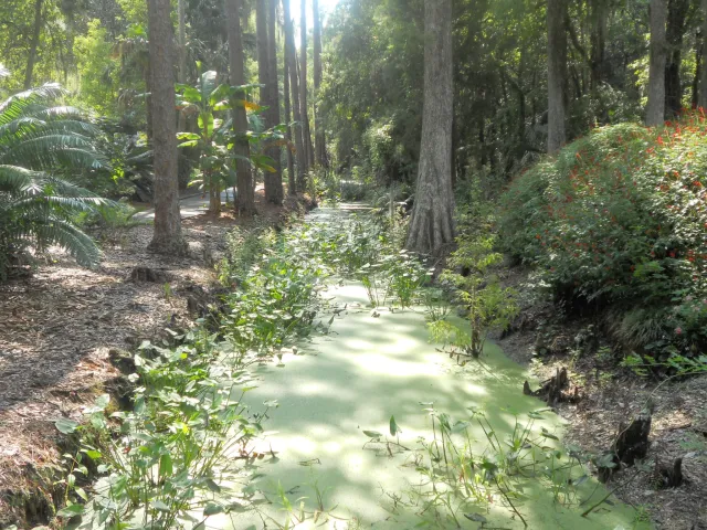 Eureka Springs Park