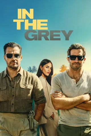 Movie poster for In the Grey