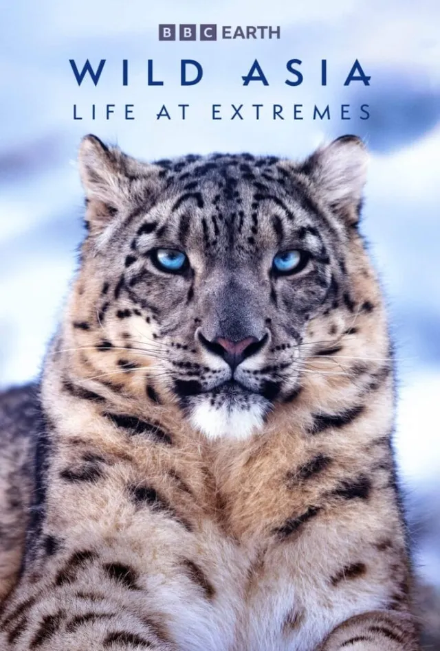 Wild Asia