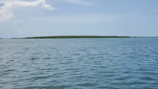 Lignumvitae Key Botanical State Park in Islamorada, FL park photo