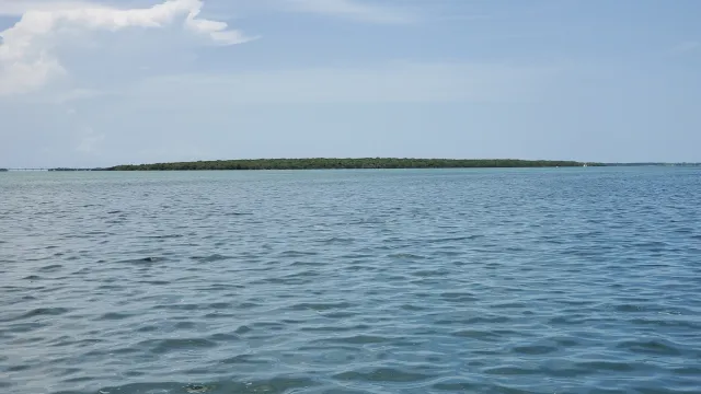 Lignumvitae Key Aquatic Preserve