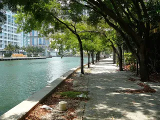 Miami Riverwalk in Miami, FL attraction photo