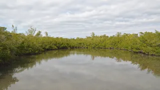 Quick Point Nature Preserve in Bradenton, FL park photo
