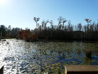 Debbie Lightsey Nature Park in Tallahassee, FL park photo