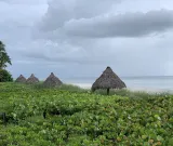 Lowdermilk Beach preview 4
