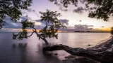 14th Street Beach preview 1