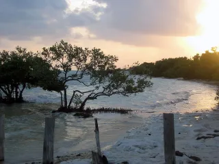 Anne's Beach in Islamorada, FL beach photo