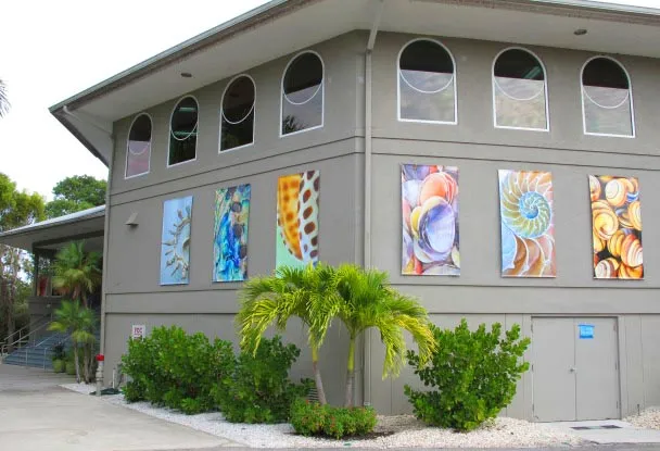 Bailey-Matthews National Shell Museum and Aquarium