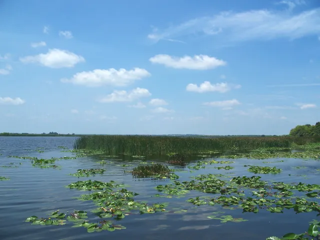 Emeralda Marsh Conservation Area