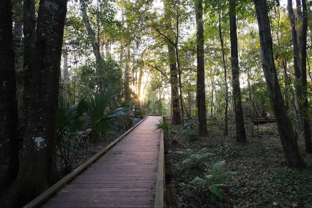 Lake Alice Conservation Area