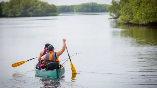 Upper Tampa Bay Park