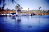Weeki Wachee Springs preview 2