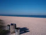 South Venice Beach preview 1