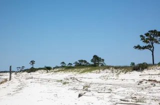 Gulf Islands National Seashore photo 3