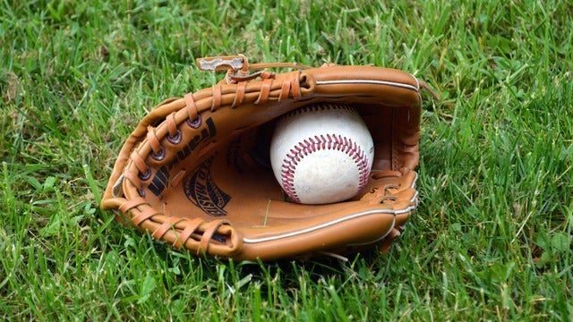Dunedin Blue Jays vs. Daytona Tortugas