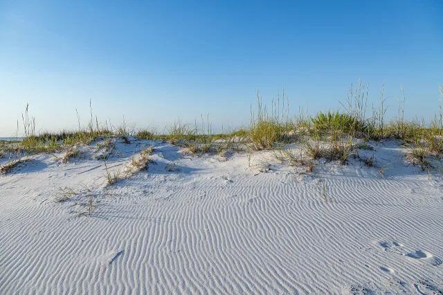 San Carlos Beach