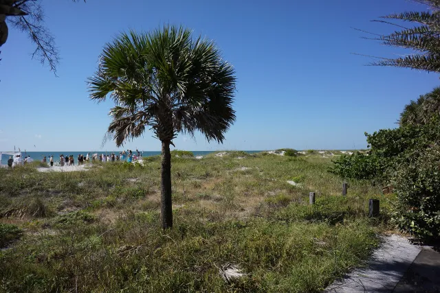 Indian Rocks Beach Nature Preserve