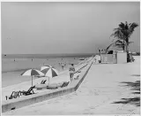Truman Beach preview 1