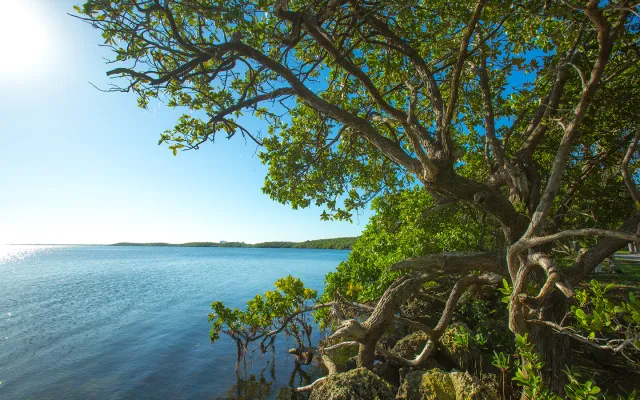 Homestead Bayfront Park