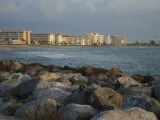 South Venice Beach preview 2