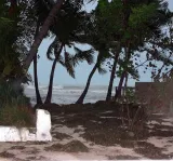 Dog Beach preview 2