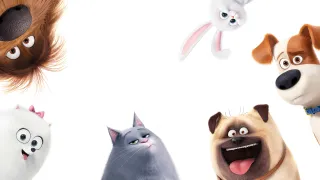 The Secret Life of Pets movie photo 8