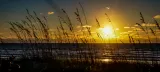 East Beach preview 1